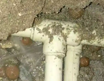 定州市测漏水多少钱