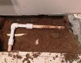 定州市测漏水哪家好