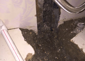 定州市卫生间测漏水哪家好