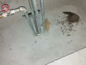 定州市卫生间测漏水价格明细