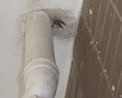 定州市漏水检测哪家好